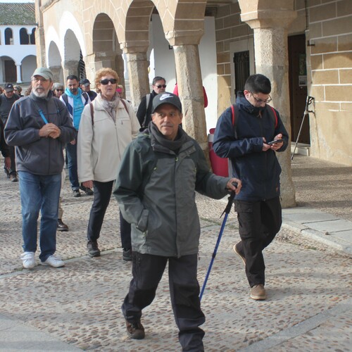 XXV Muestra almendro en flor (17)